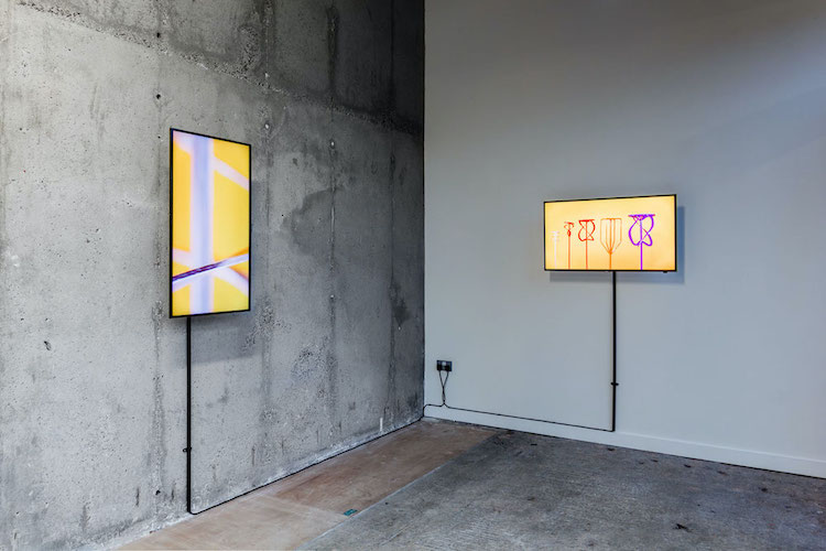 Trigger Happy Discipline